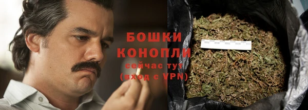 молекула духа Белокуриха