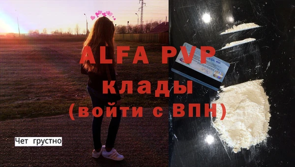 первитин Богданович