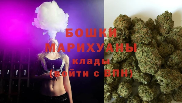 молекула духа Белокуриха