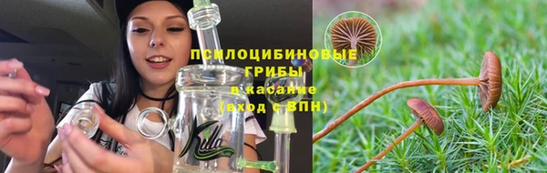 a pvp Белоозёрский