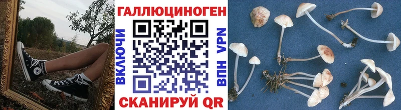 купить наркоту  Жигулёвск  Галлюциногенные грибы MAGIC MUSHROOMS 